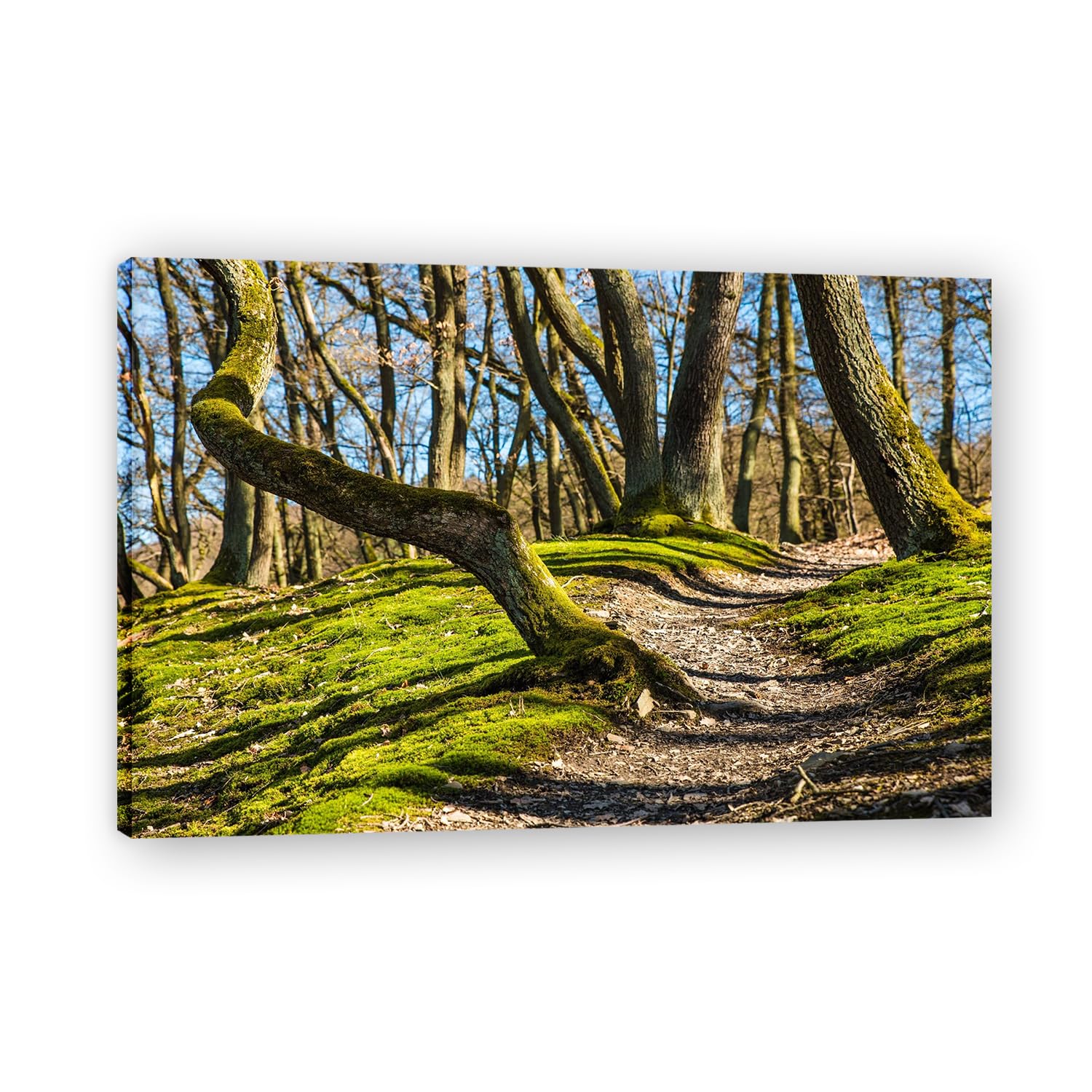VHdfgTY Lateral GrowthLarge Mountain Landscape Canvas Wall Art Nature Scenery for Home Decor 70x105cm Framed