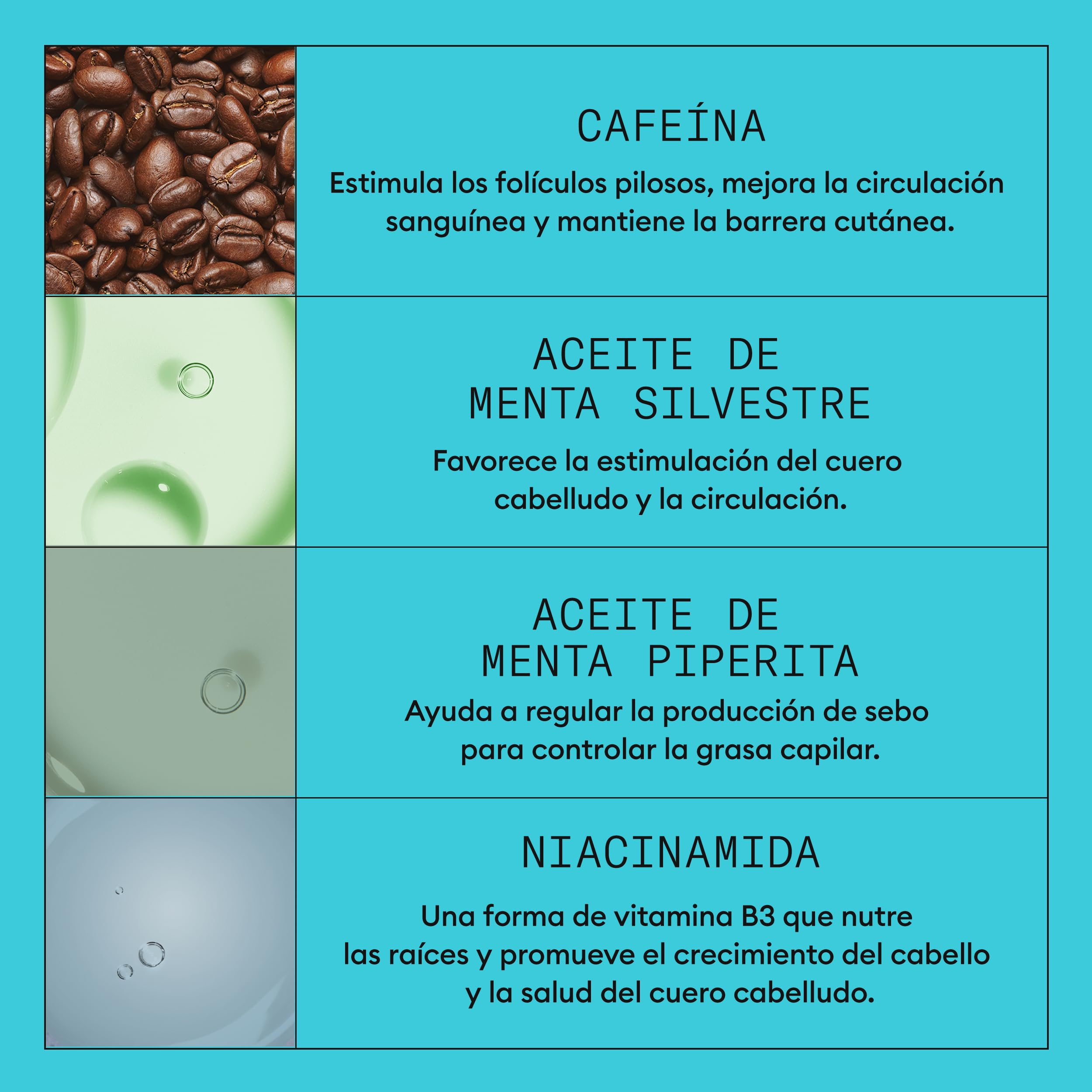 Nioxin Sistema 3 Champú Acondicionador Tratamiento Cabello Teñido Dañado Debilitamiento Leve