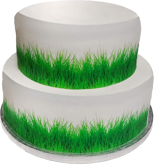 Top That Edible Decor Sheet Green grass themed Border Ribbon - Perfect for Larger cakes - Easy to Use