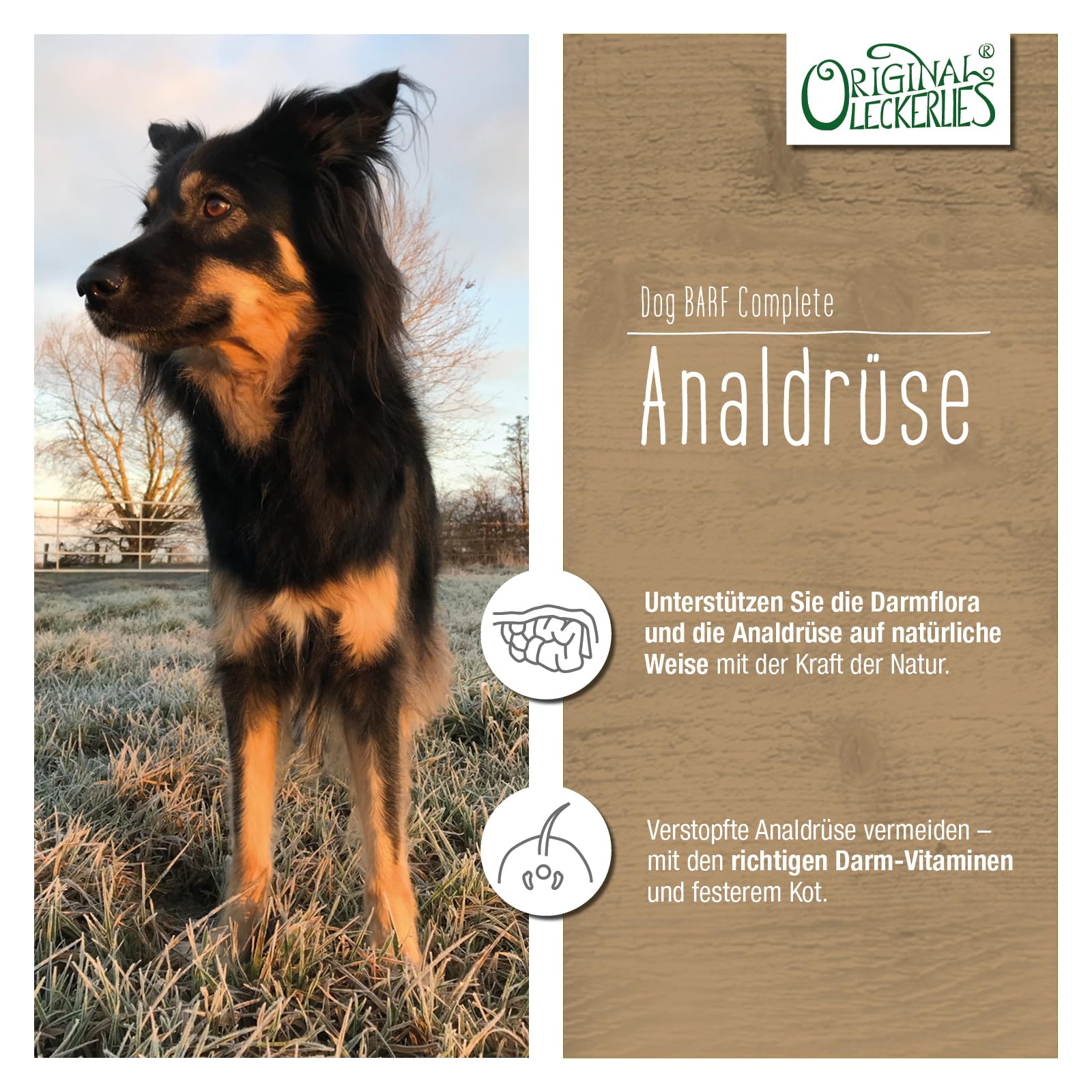 ORIGINAL LECKERLIES Dog Barf Analdrüse-Kräutermix – Pulver für Hunde I natürliche Unterstützung der Analdrüsen, Verdauung, Darmflora und Darmtätigkeit sowie eines gesunden Darms (375 g)