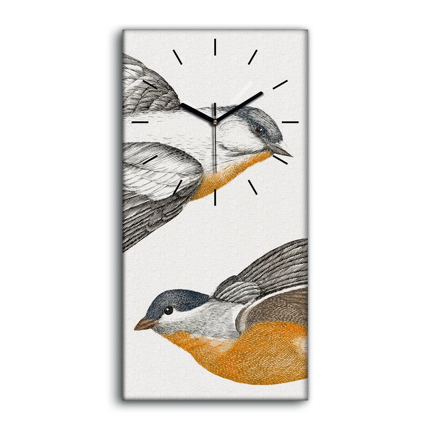 Horloge murale salon nature et moderne avec oiseaux colorés