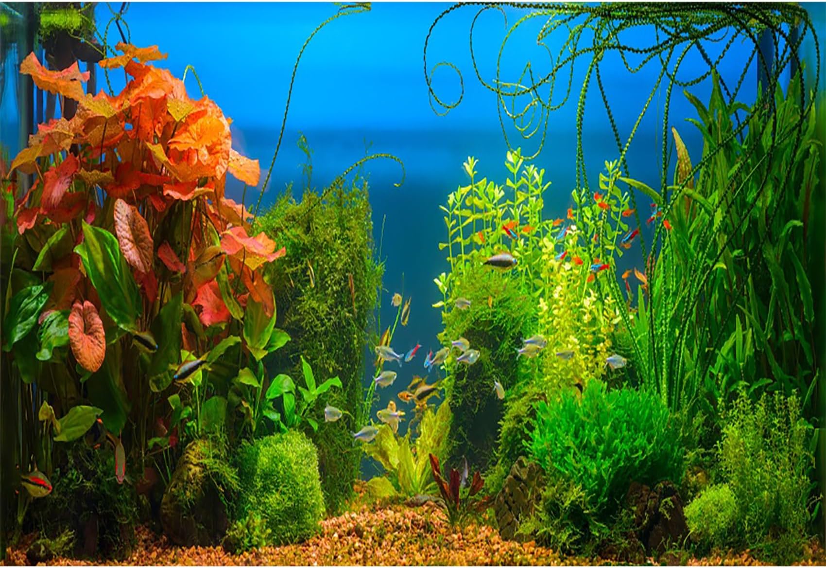 AOFOTO 10x7ft Aquarium Backdrop Decoration Blue Ocean Fish Deep Water Plants Seabed Scene Underwater Scene Background for Photography Kids Adults Birthday Party Events Photo Studio Props Vinyl