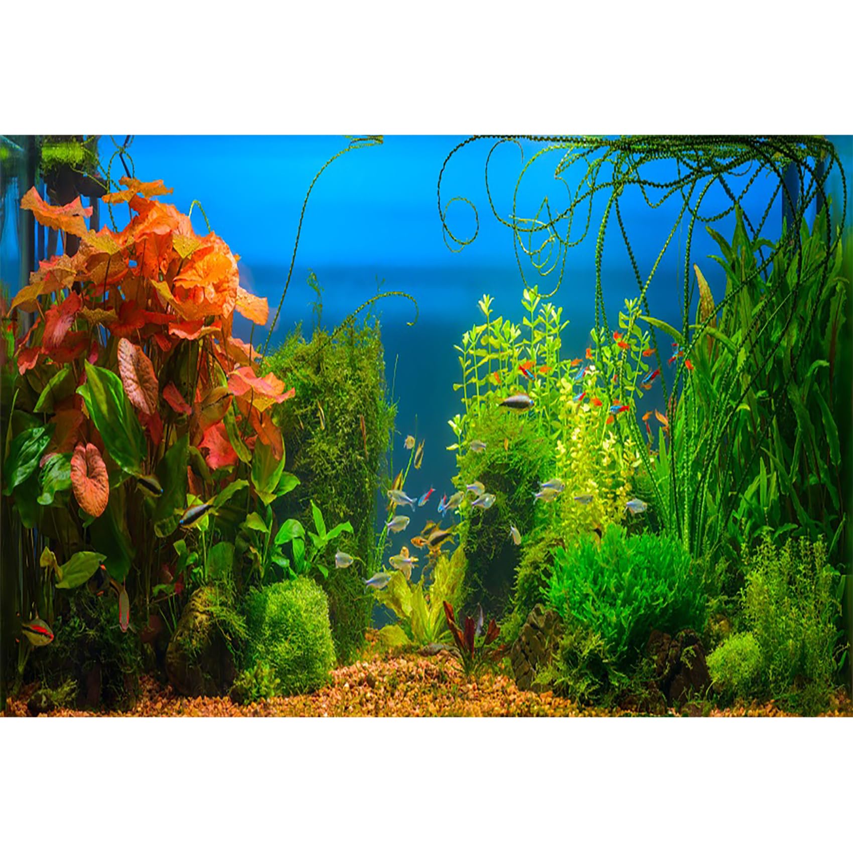 AOFOTO 10x7ft Aquarium Backdrop Decoration Blue Ocean Fish Deep Water Plants Seabed Scene Underwater Scene Background for Photography Kids Adults Birthday Party Events Photo Studio Props Vinyl