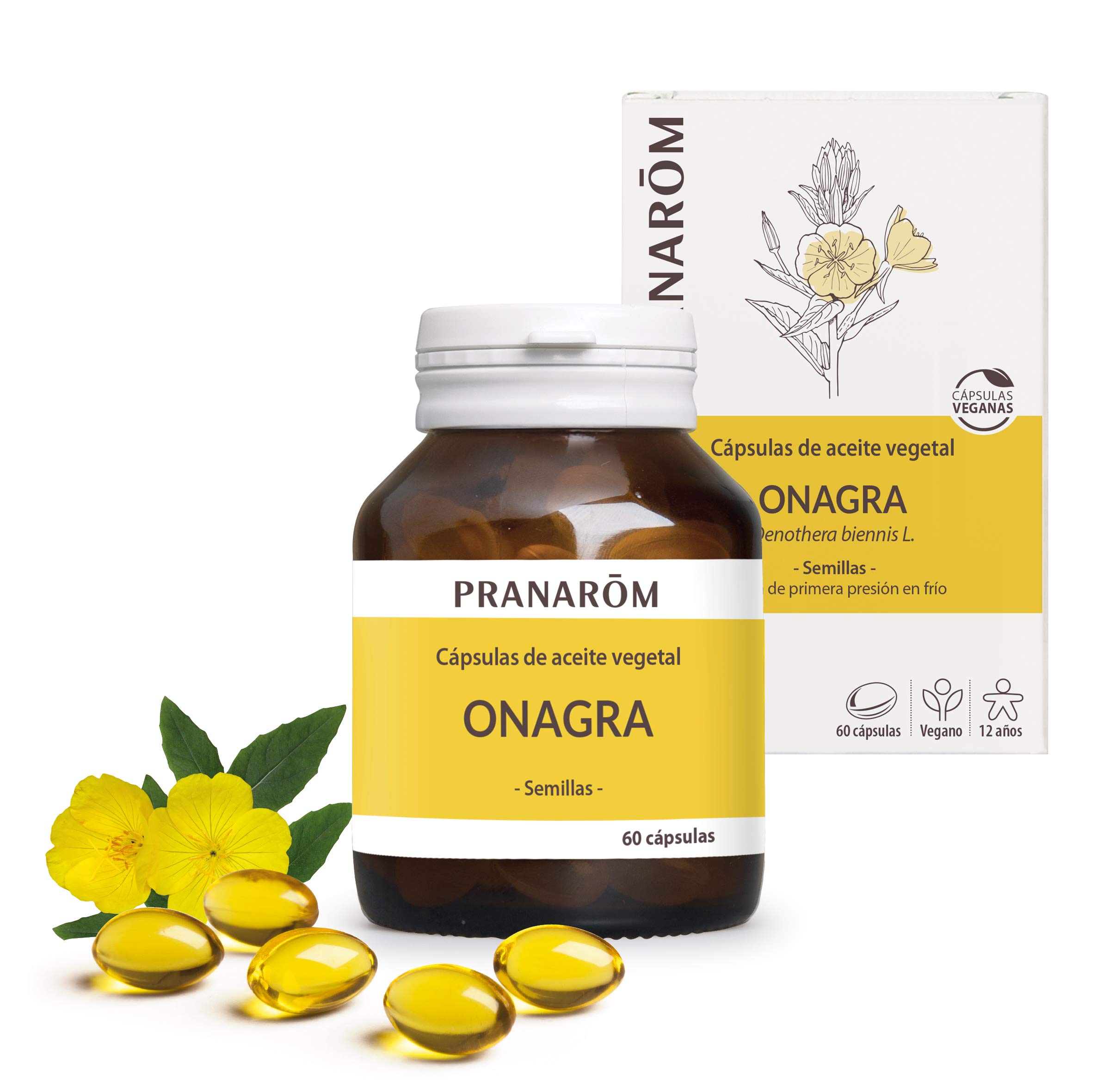 PRANAROM Nachtkerze, Pflanzenöl, 60 Kapseln