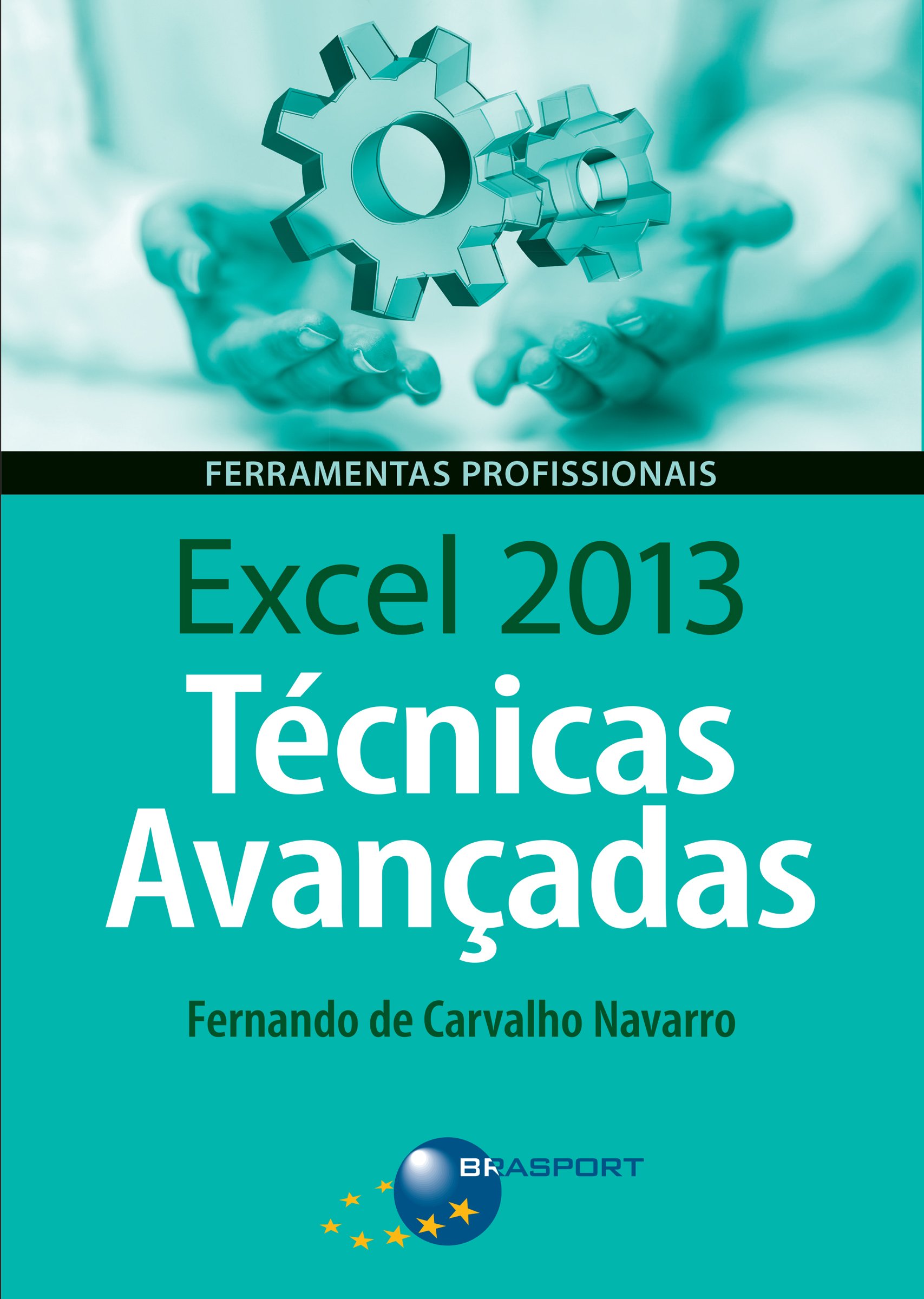 Excel 2013 Técnicas Avançadas (Portuguese Edition)