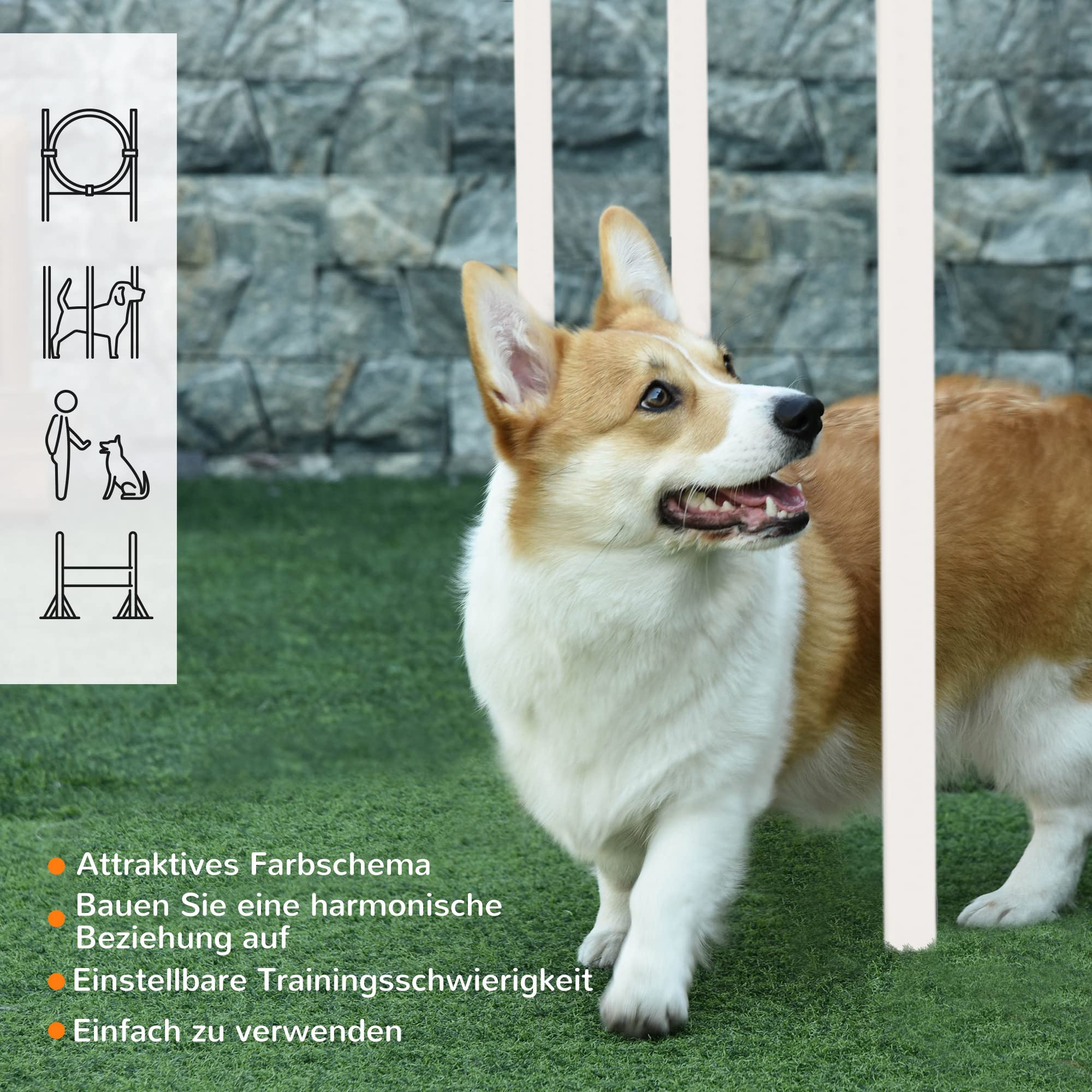 PawHut Zestaw agility do treningu psów z regulowaną wysokością przeszkodą | 5-częściowy zestaw, worek na karmę, obręcz skokowa, tyczki slalom, zestaw wbijanych przeszkód z gwizdkiem, torba