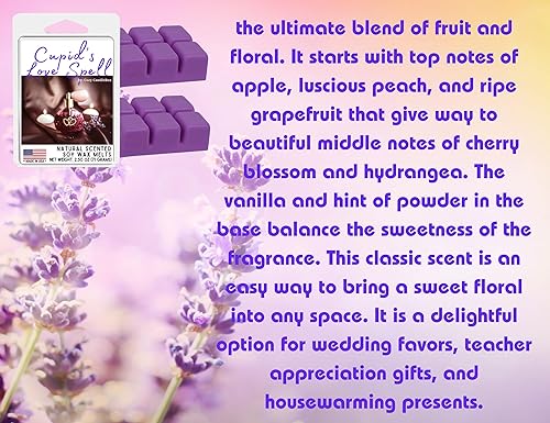 Miniatura 2 de Cera de soja para derretir  Fabricado en Estados Unidos  Cera de soja a base de plantas  Cubos de cera de soja perfumada natural de cachemira y