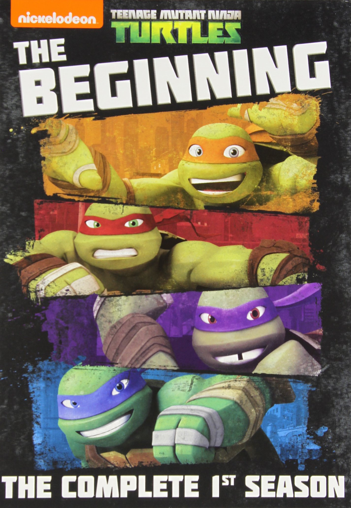 Teenage Mutant Ninja Turtles: The Complete First Season [DVD]