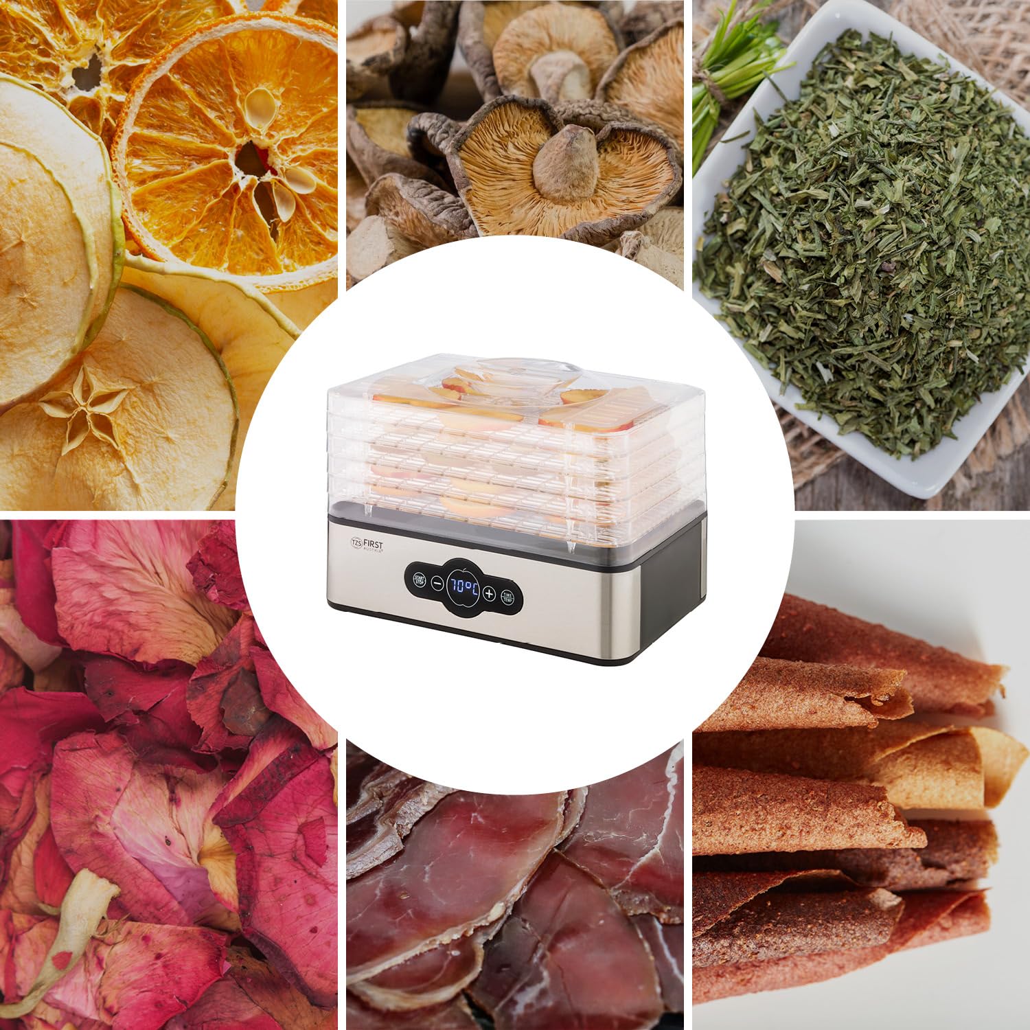 TZS First Austria essiccatore digitale per frutta, erbe, funghi, carne, 5 ripiani, BPA free, timer e regolazione temperatura 35-70°C