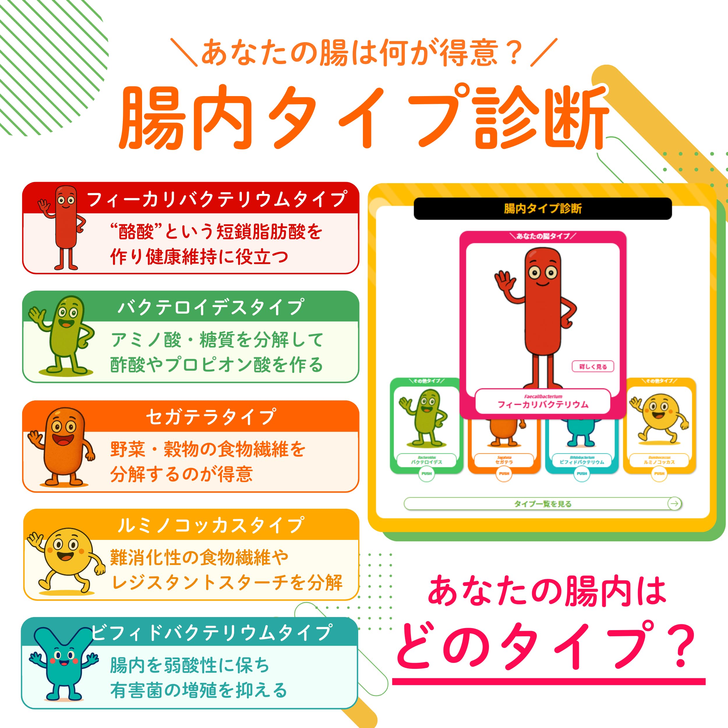 Amazon.co.jp: 腸内フローラ検査 chatFLORA G 腸内環境を把握できる