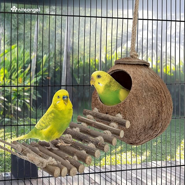 Foto 4 de 6 de Niteangel - Escondite de Coco 100% Natural con Escalera, pájaro y Juguete de Animales pequeños