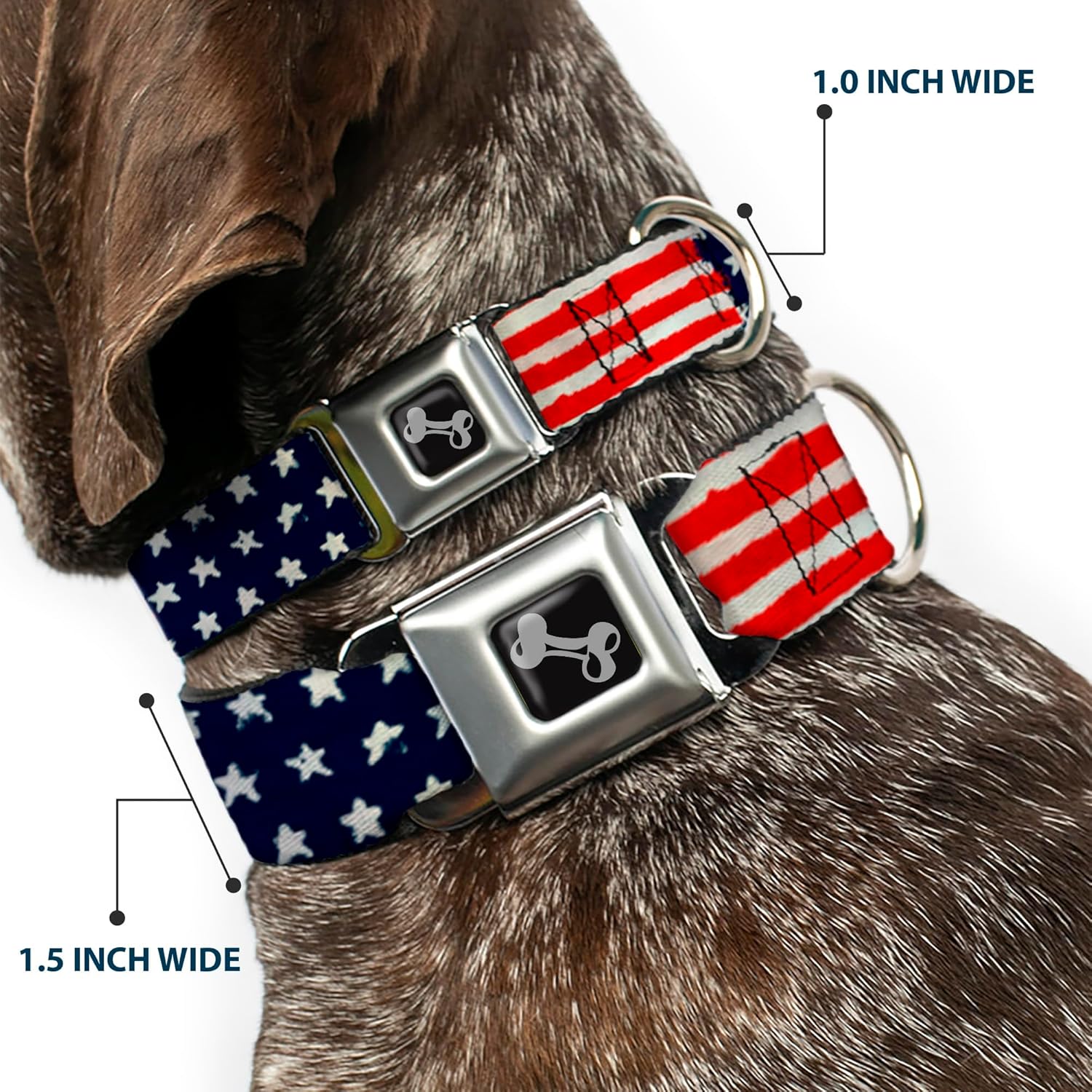 Dog Collar Seatbelt Buckle Stars Stripes Painting 16 to 23 Inches 1.5 Inch Wide