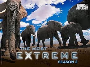 Most Extreme Season 2