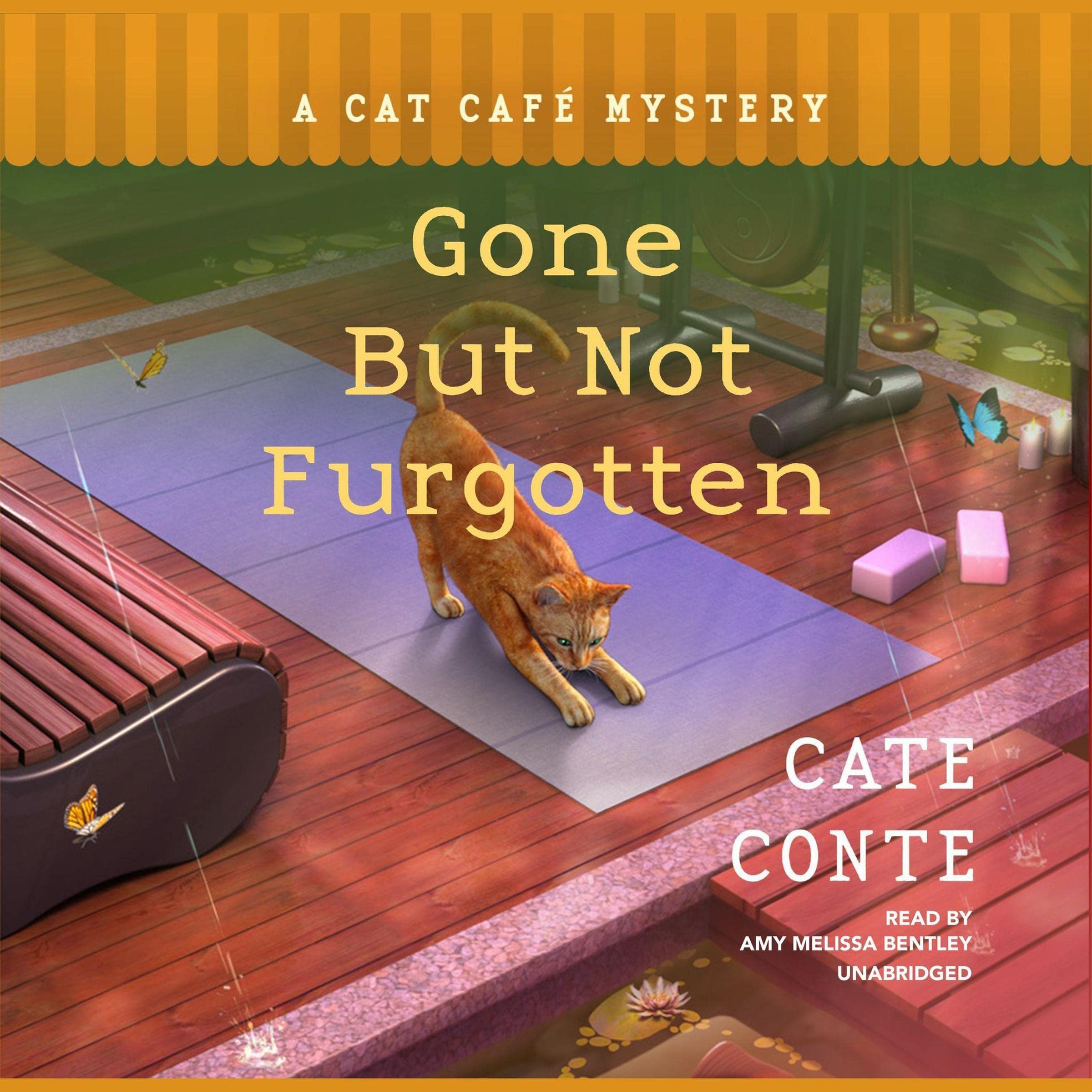 Cover art for Gone but Not Furgotten