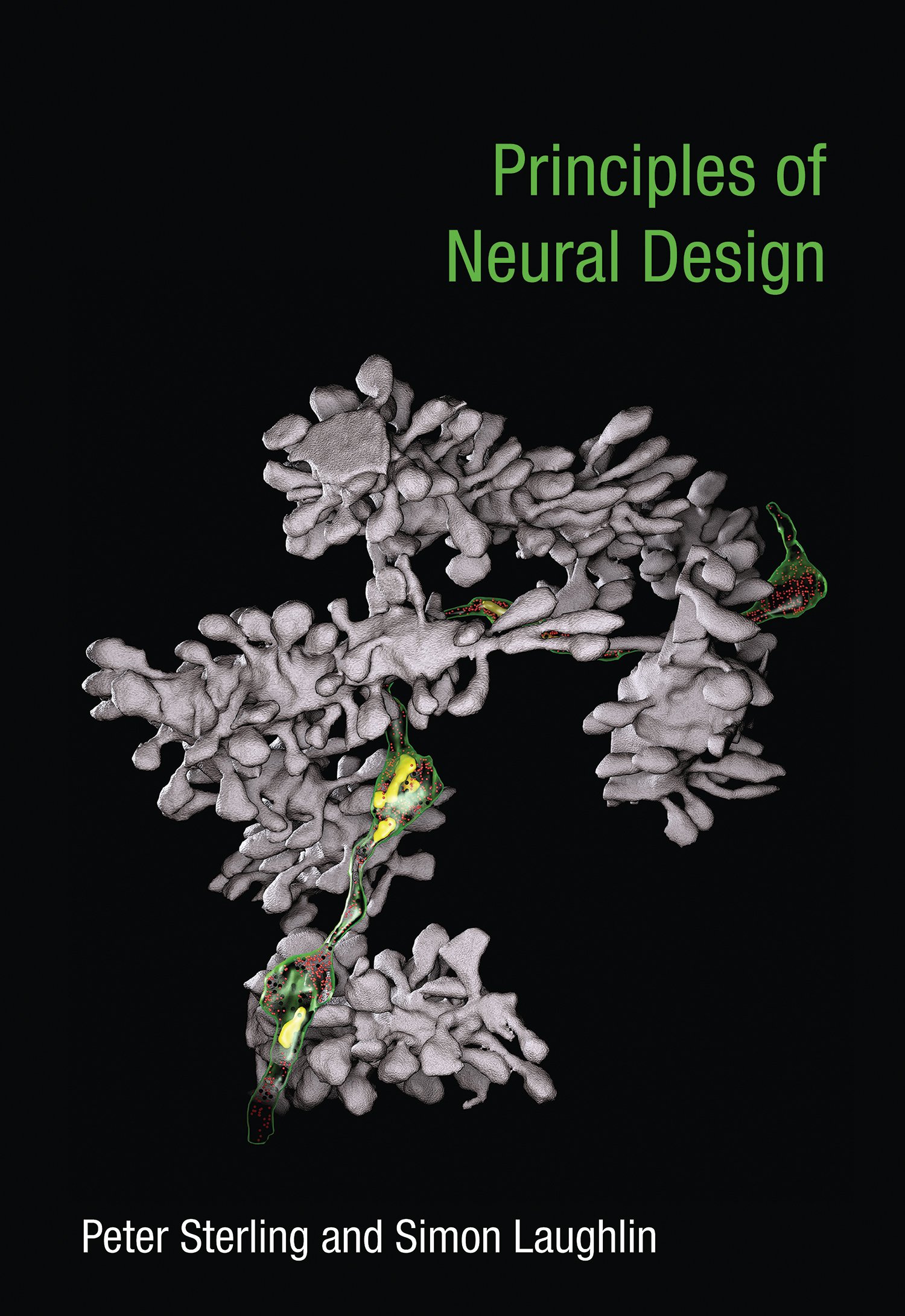 Buy Principles of Neural Design — BookShops.in