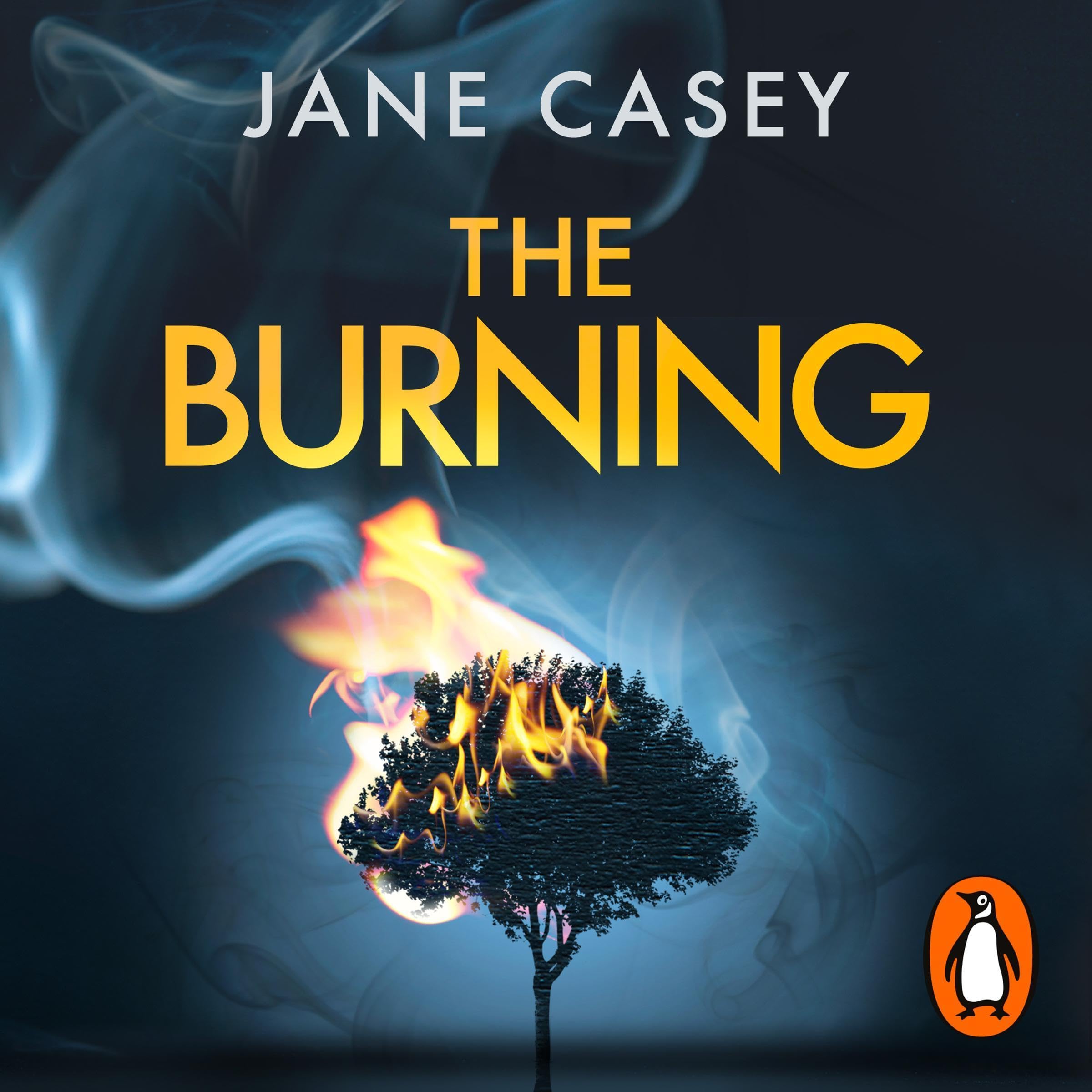Cover art for The Burning: The gripping detective crime thriller from the bestselling author