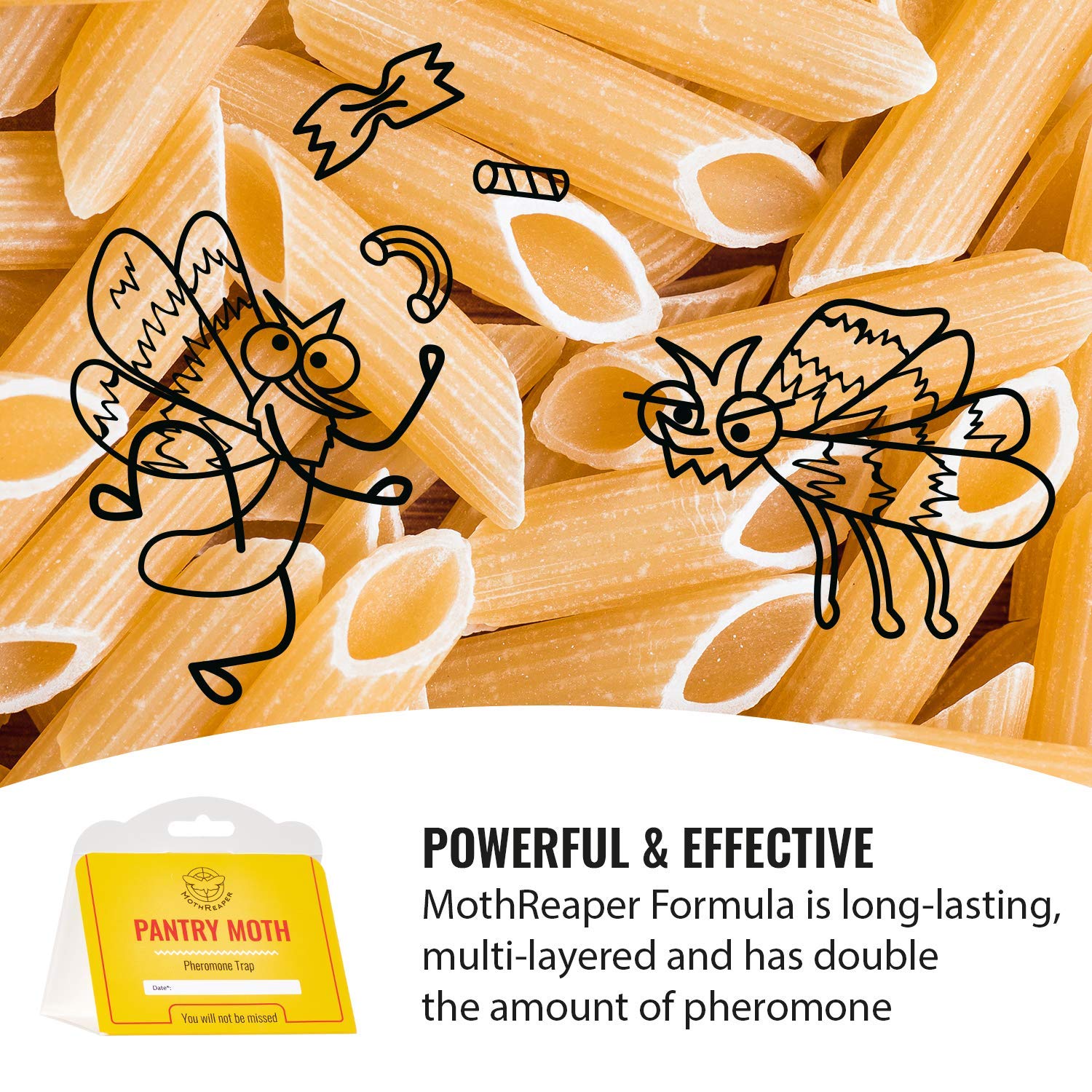 Kitchen Pantry Moth Traps Prime Pantry Moth Traps with pheromones