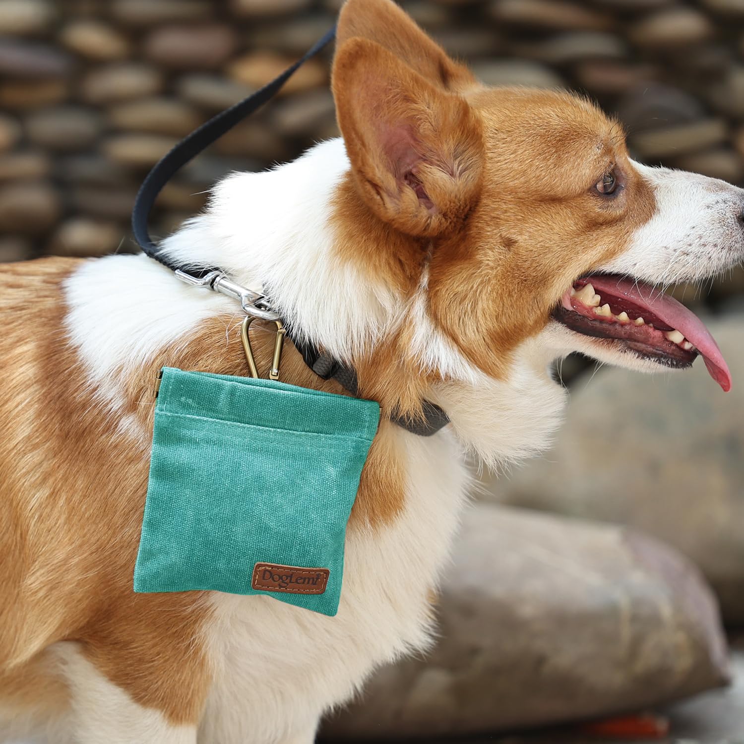 Duuclume Dog Treat Bag, Puppy Dog Training Pouch Hands-Free Training Dog Treat Pouch, Includes Carabiner - Image 4