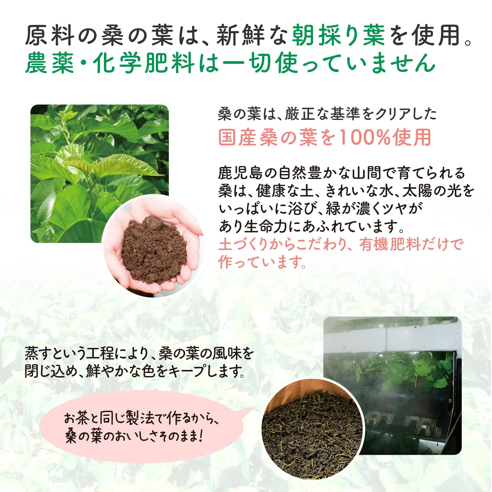 Amazon | ママ&キッズ (Mama&Kids)【公式】 桑の葉 フローラ青汁(4g×30
