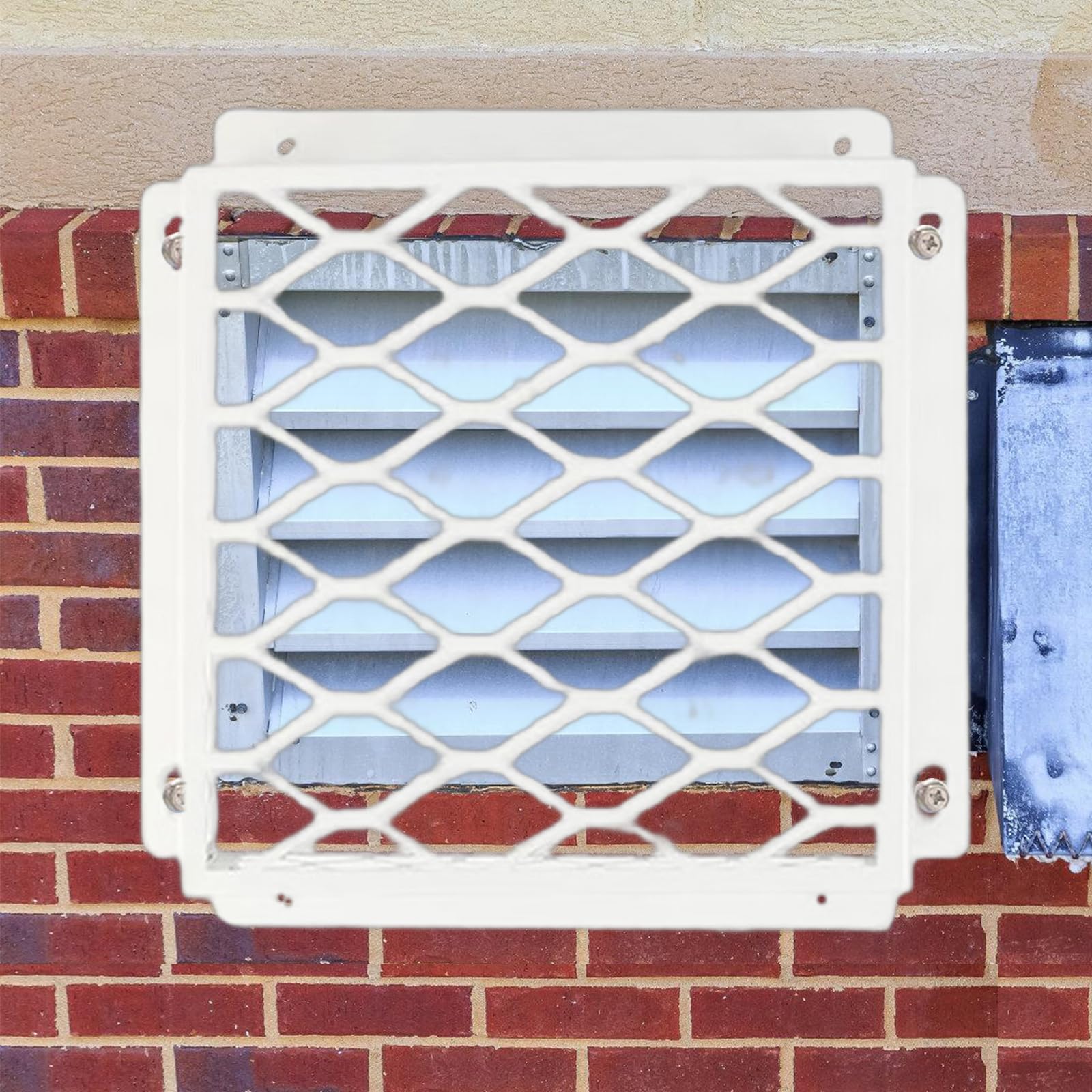 2 fundas de ventilación para secadora, protectores de sistemas de secado, acero al carbono, ventilación para pájaros, rejillas de ventilación para pájaros, cubiertas protectoras para pájaros