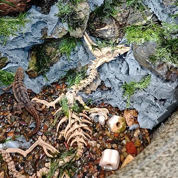 3D Printed Skeleton Dragon Aquarium Decor,23in Articulated Dragon Aquarium Animal Skeletons, Reptile Tank Accessories,Fish Tank Decorations for Amphibians, Betta Fish, Shrimp (Bone-color)