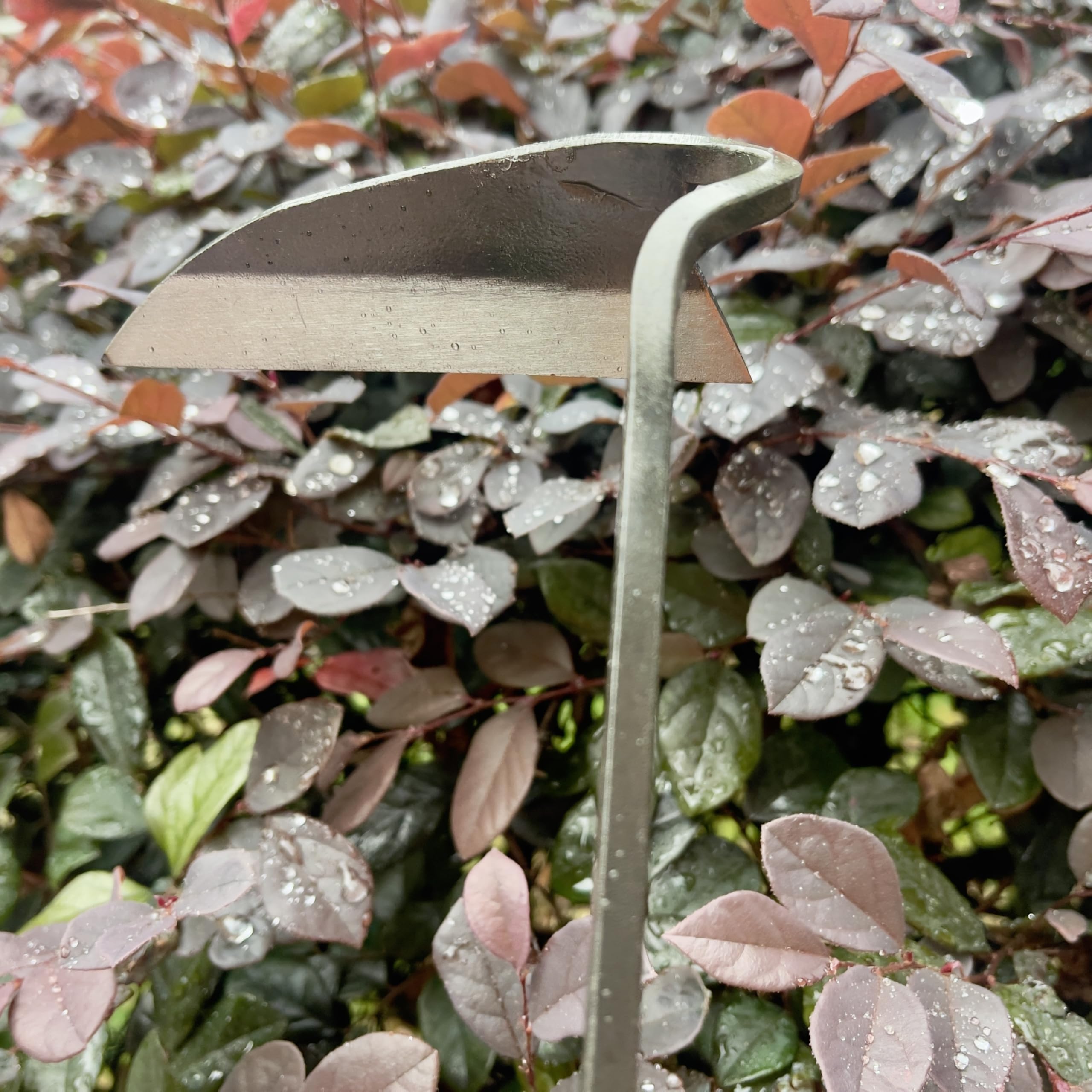 Alanx Faucille de jardinage japonaise de 12 pouces, houe à désherber avec manche en bois long