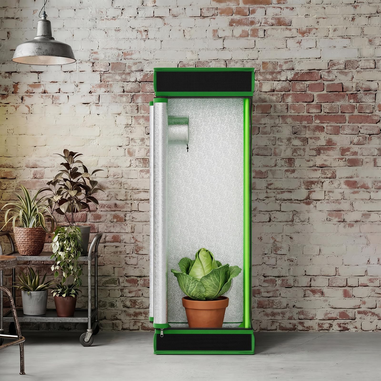 Kingpower Grow Zelt für Pflanzen Zuchtzelt Gewächshaus Box Zuchtschrank Garten Anzucht Gemüse Kräuter Grow Schrank Indoor Blumen klein Tomaten Hydro Green, Größe:40 x 40 x 120 cm (01)