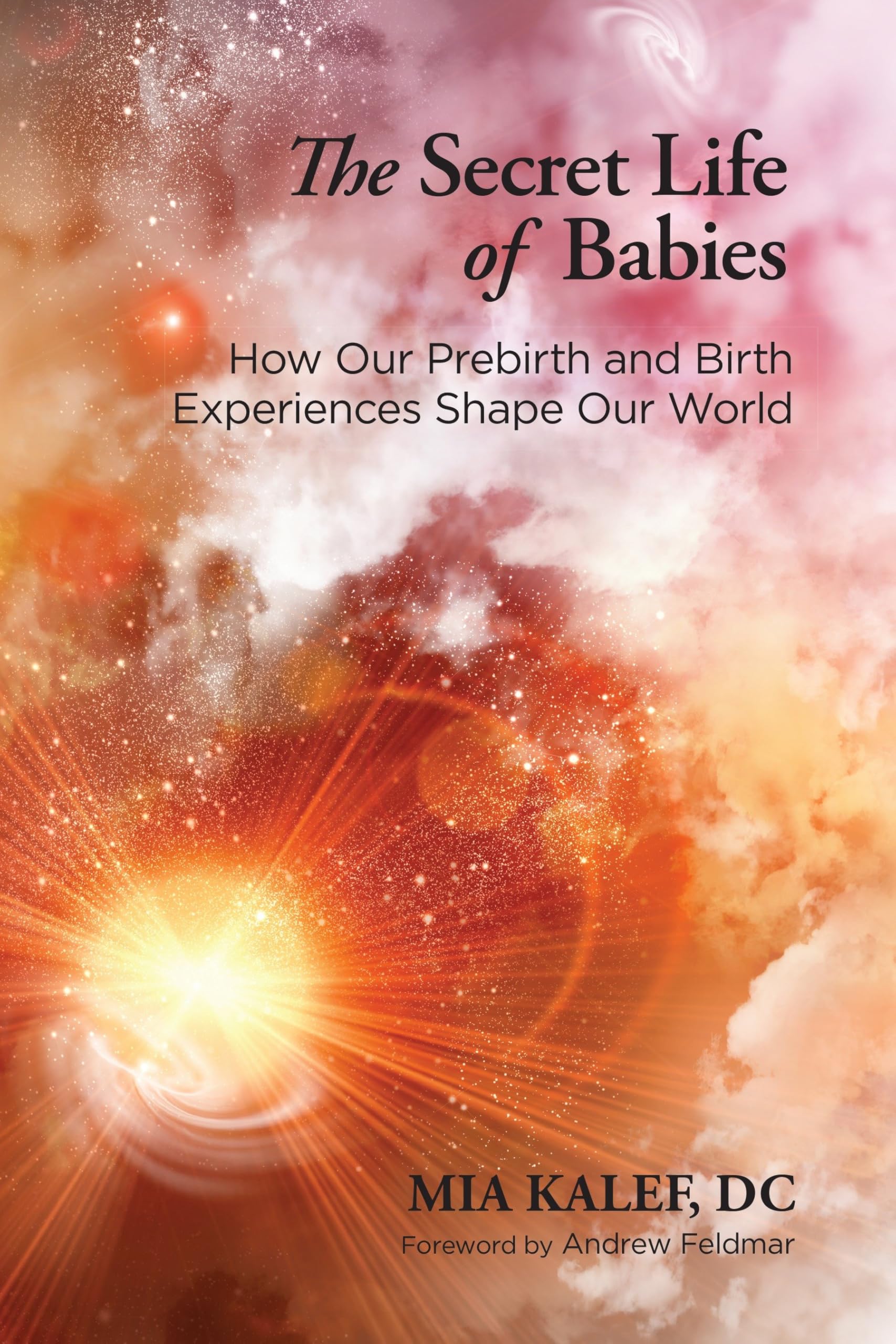 The Secret Life of Babies : How Our Prebirth and Birth Experiences Shape Our World
