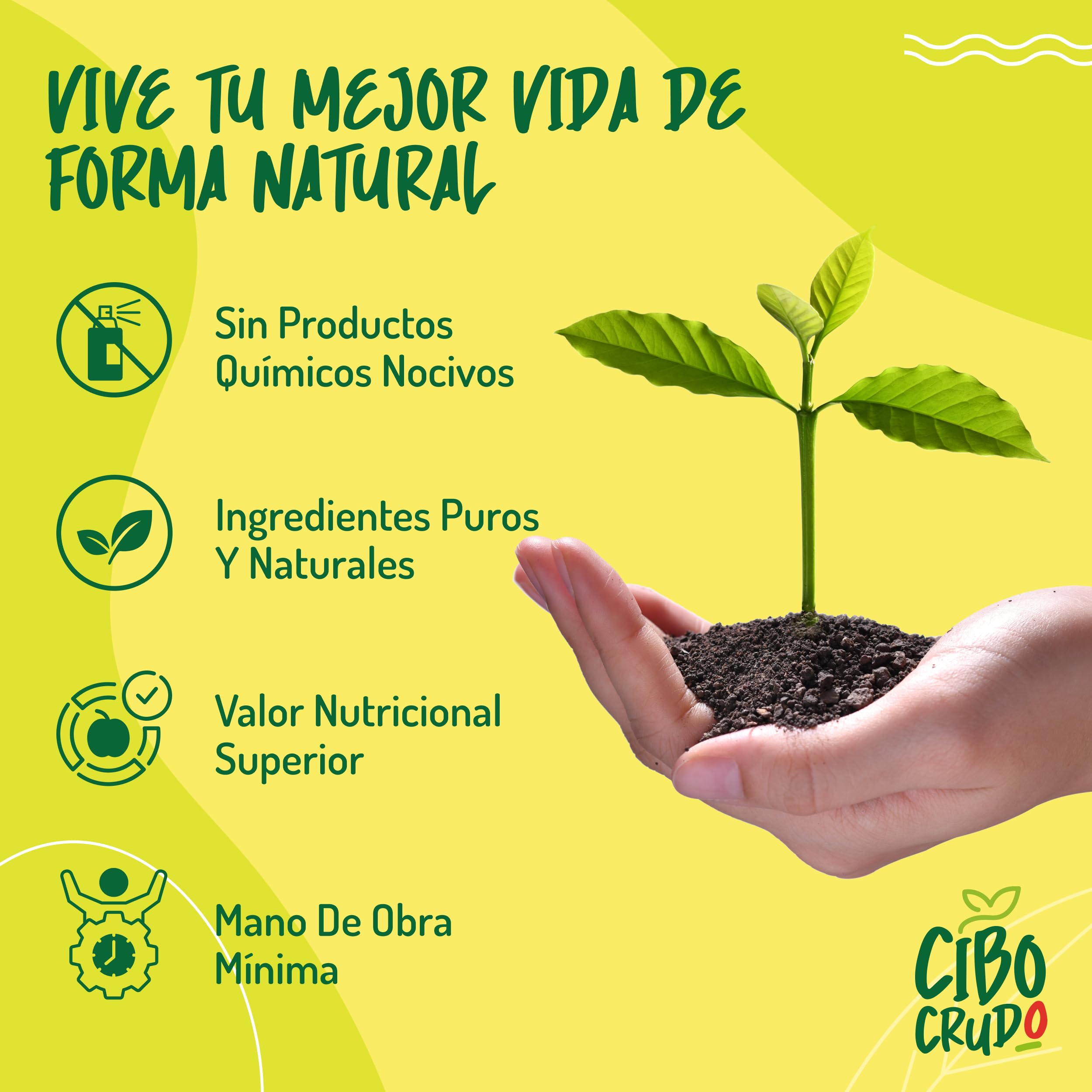 Organic Pumpkin Seed Oil 250ml - Aceite de Semillas de Calabaza Prensado en Frío