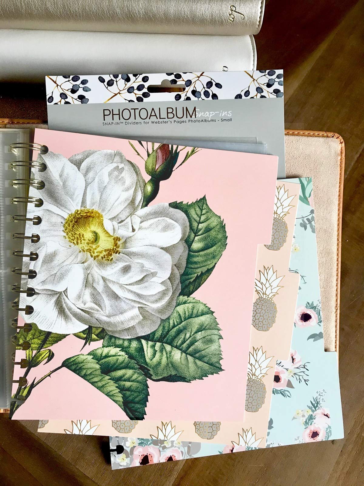 Webster's PagesSnap-in Dividers, Fits Webster's Pages Photo Album, Small Album, 3 6x8 Inches