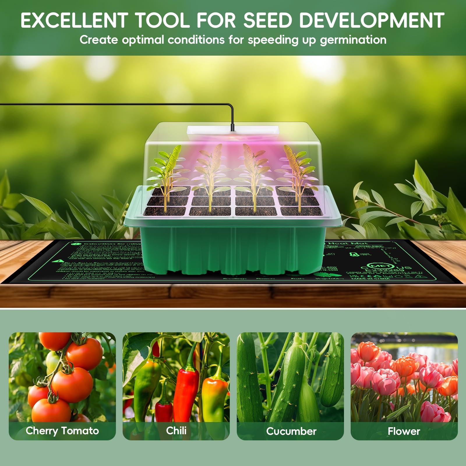 Verdenu Mini Serre pour Plantes avec Lampes de Culture, Tapis Chauffant avec Thermostat, Bac à Semis à 36 cellules avec dôme d'humidité, 3 Modes d'éclairage, Mini Serre Interieur Réutilisable
