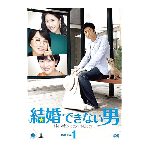 結婚できない男(韓国ドラマ)