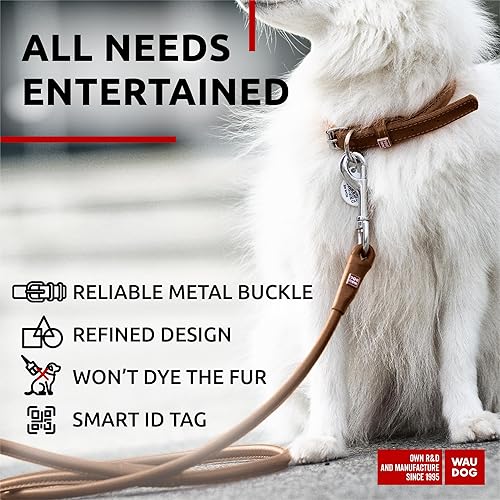 Miniatura 4 de WAUDOG Collar de cuero enrollado ultrasuave para perros pequeños, collares acolchados suaves para perros medianos, collares de cachorros para perros
