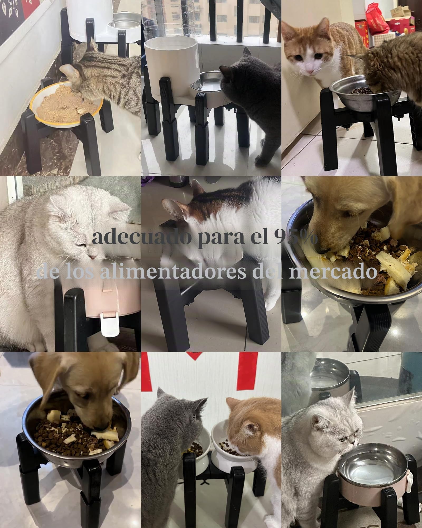 JUNSPOW Comedero Elevado para Perros con 4 Alturas Ajustables [sólo Soporte], Estable y Antideslizante estación de alimentación para comedero y Bebedero para Perros Grandes