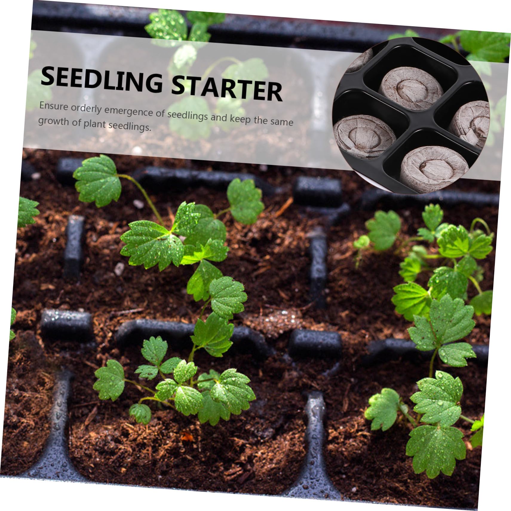 3 Sätze Garten Anzuchtset Mit Pflanzschalen Und Block Für Keimung Und Pflanzenaufzucht Robust Und Langlebig Für Garten Und Gewächshaus 12 Stück * 3