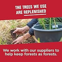 Vista 8 de Vanity Fair Everyday Servilletas, 100 Count Servilletas de papel