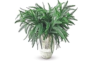 Cedar Wreath 18 Inch: Luxe Greenery for Captivating Xmas Decor and Year-Round Charm