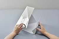 Vista 9 de Mapamundi de platino, M-PL.