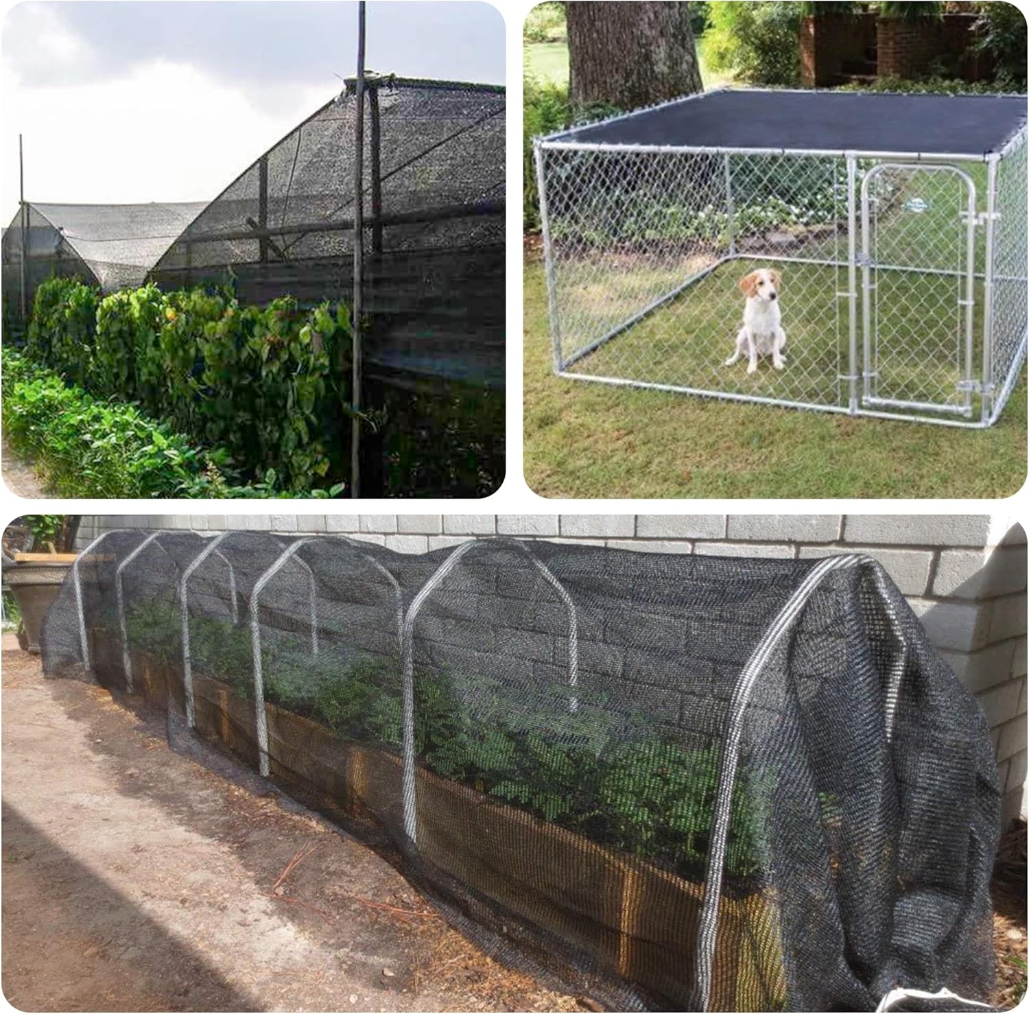 50% Sunblock Shade Cloth Sun Shade Net for Garden Flower Plant Greenhouse Pergola Kennel Garden Shade Cloth (10ft x 50ft)