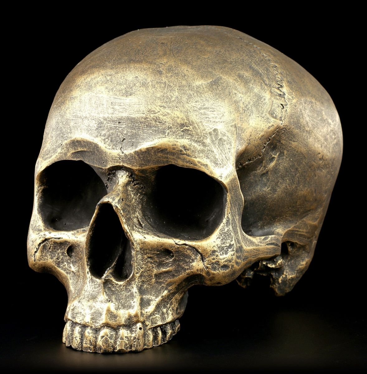 Tête de mort sans mâchoire inférieure - Or vieilli - Figurine de crâne gothique - Décoration