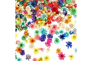 MARFOREVER 420 Pieces Real Mini Flowers for Artistic Creations
