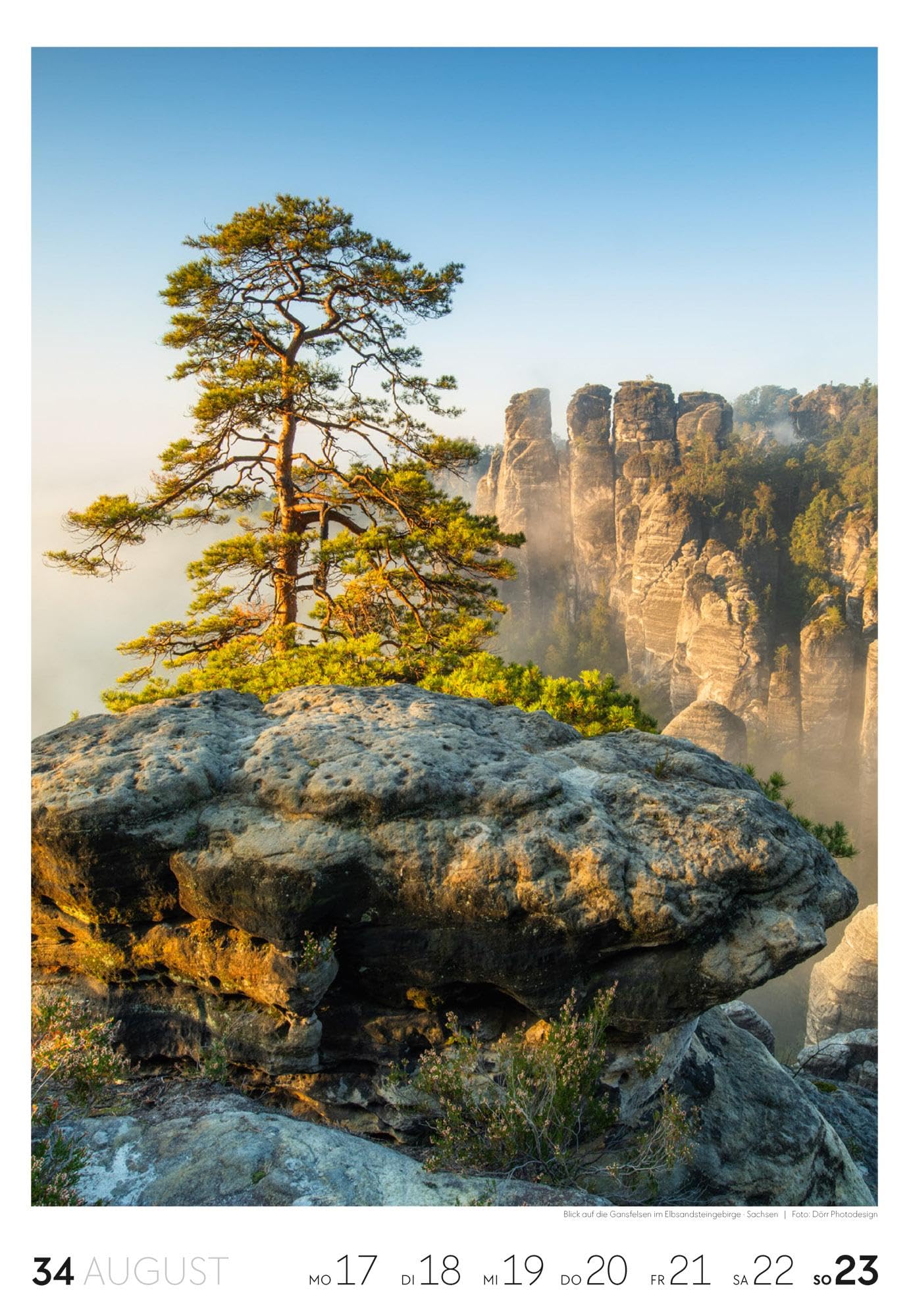 Natur Wochenkalender 2026 | Natur-Kalender mit 53 großformatigen Bildern im Hochformat (29x42 cm) | Heimische Flora und Fauna