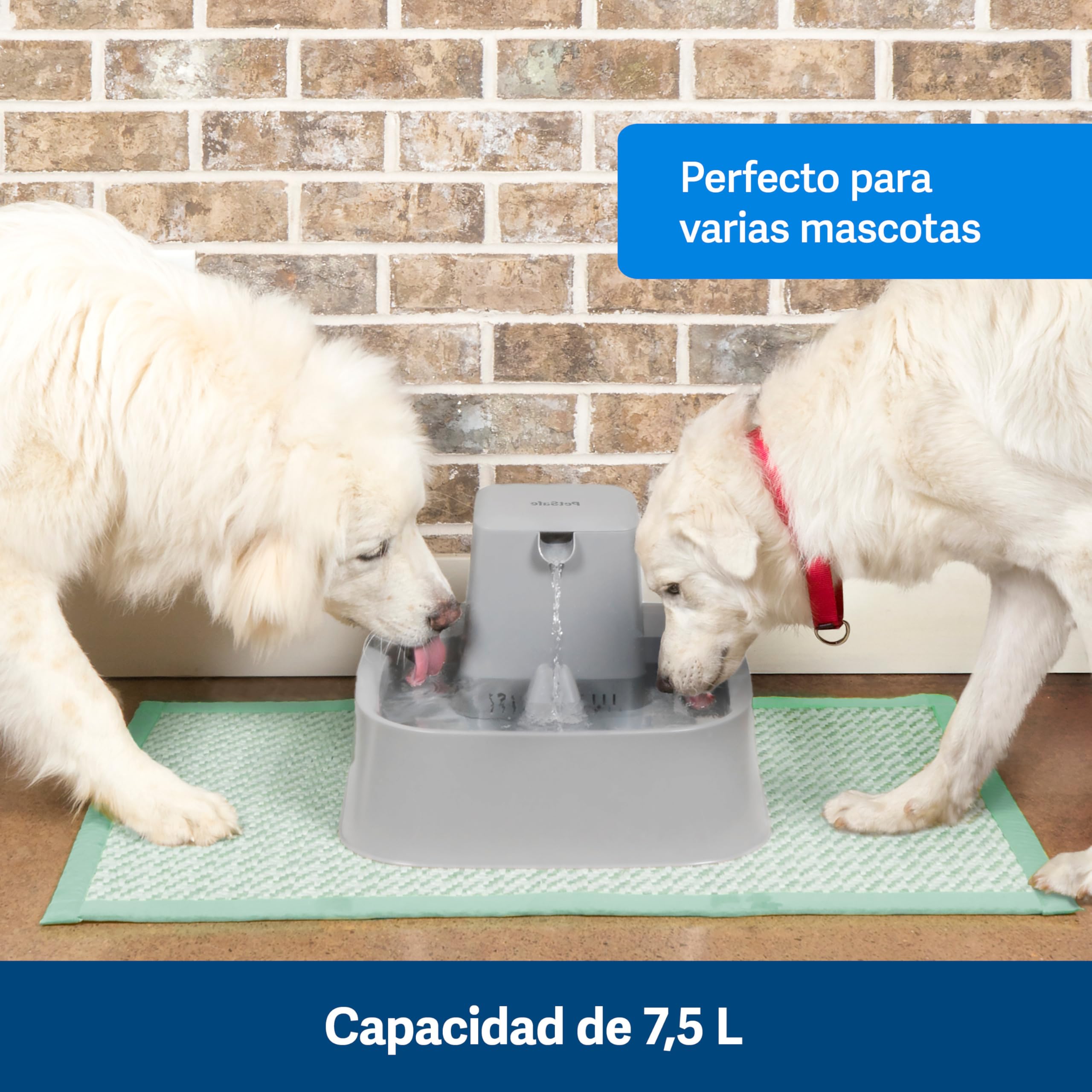 PetSafe Drinkwell Fuente para Mascotas, 7,5L | Gran Superficie, Para Bigotes Sensibles, Capacidad 7,5 Litros