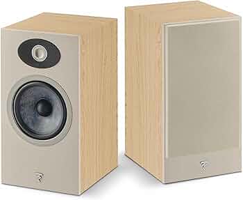 81Q2R03bPsL._AC_UF350,