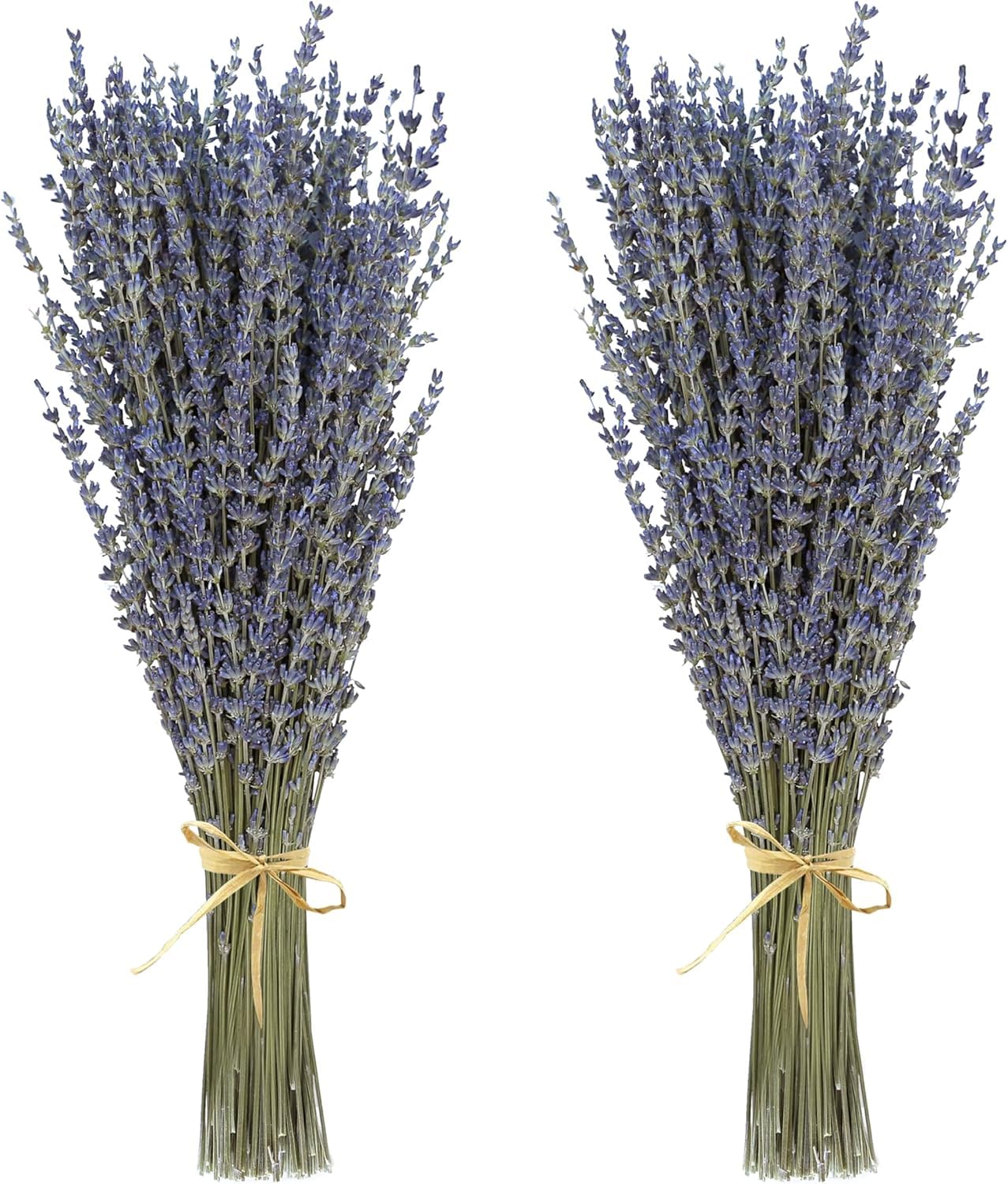2 Stück Trockenblumen,Getrockneter Lavendel ca.40cm