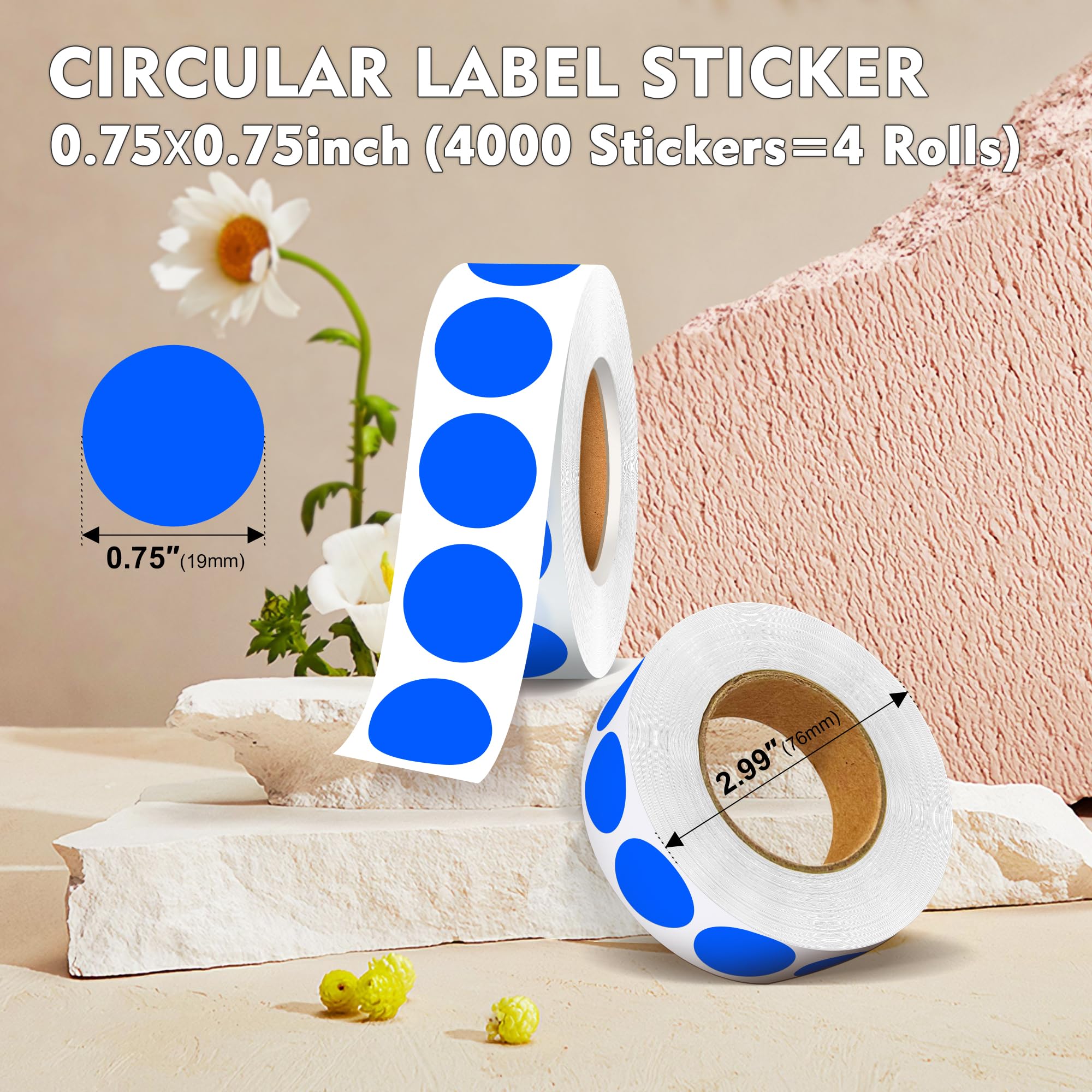Farbige Punkte-Aufkleber, rund, 1,9 cm, 4 Rollen, 4000 Stück, 10 farbcodierte Aufkleber-Etiketten für Kinder, Klassenzimmer, Büro, Familie (blau)