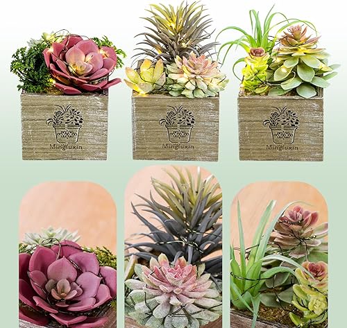 Miniatura 4 de Mingfuxin Pequeñas plantas falsas, paquete de 3 mini plantas suculentas artificiales con luces LED para interiores, baño, dormitorio, escritorio,