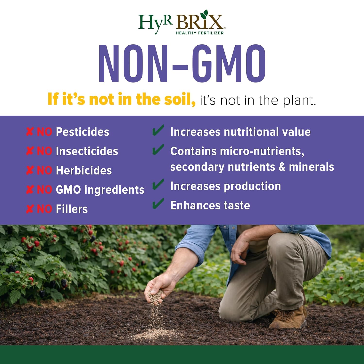 Slow-Release 6-8-9 Fruit & Berry Fertilizer, 5lb Bucket - Plant Food with Calcium & Sulfur - Essential Micronutrients for Better-Tasting Fruit & Higher Yields