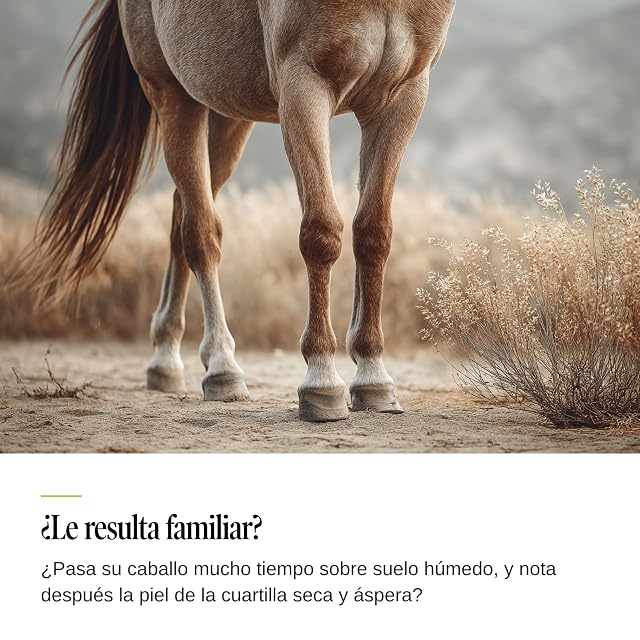 Foto 3 de 7 de Sensipharm® Sensi Horse Cream Caballo - Crema de Zinc - 300 g