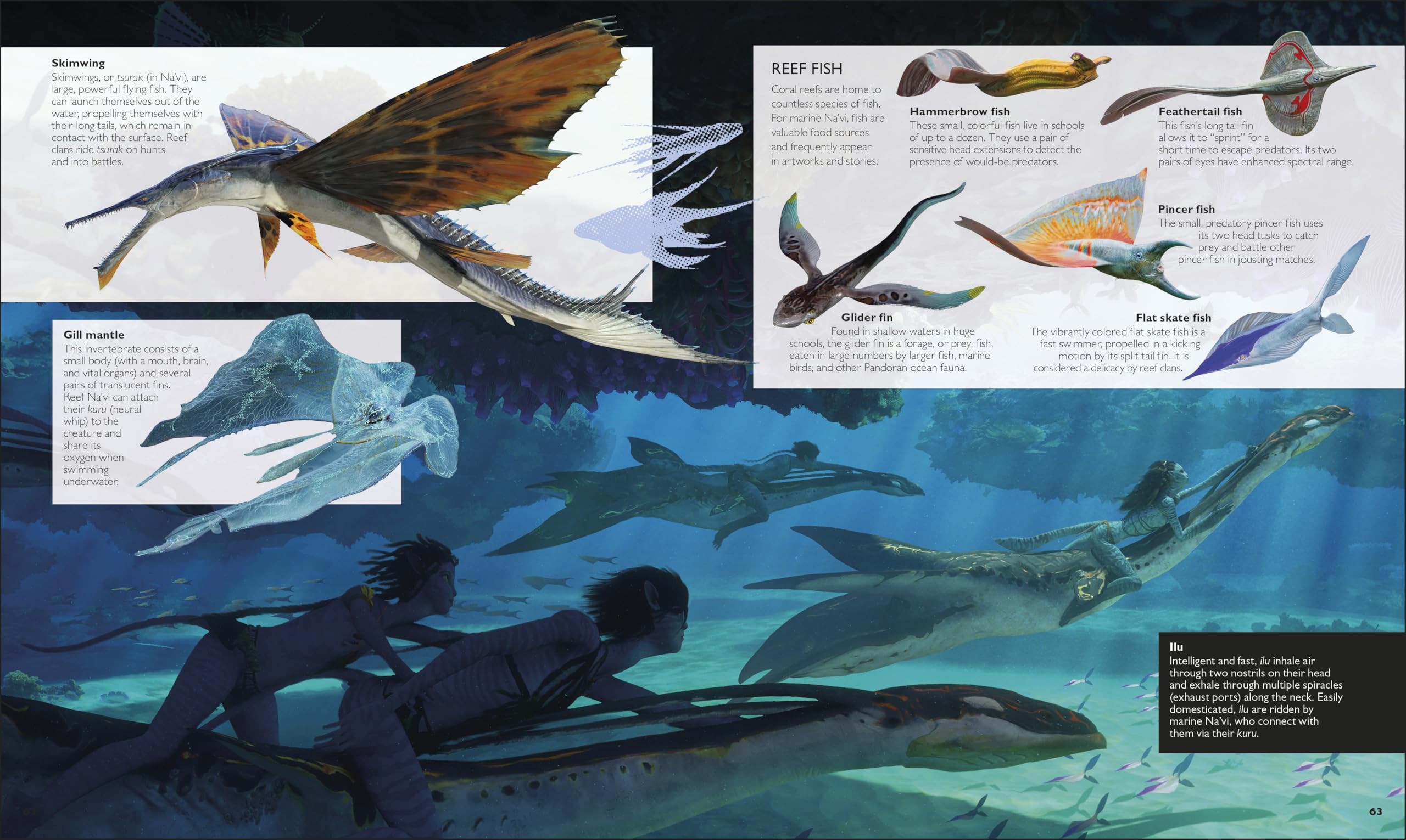 The World of Avatar Updated Edition